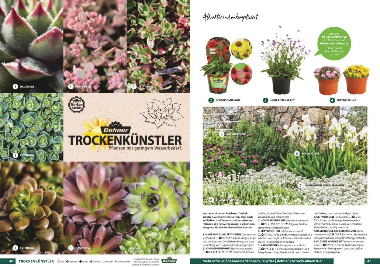 Prospekt Dehner 01.01.2021 - 31.12.2021