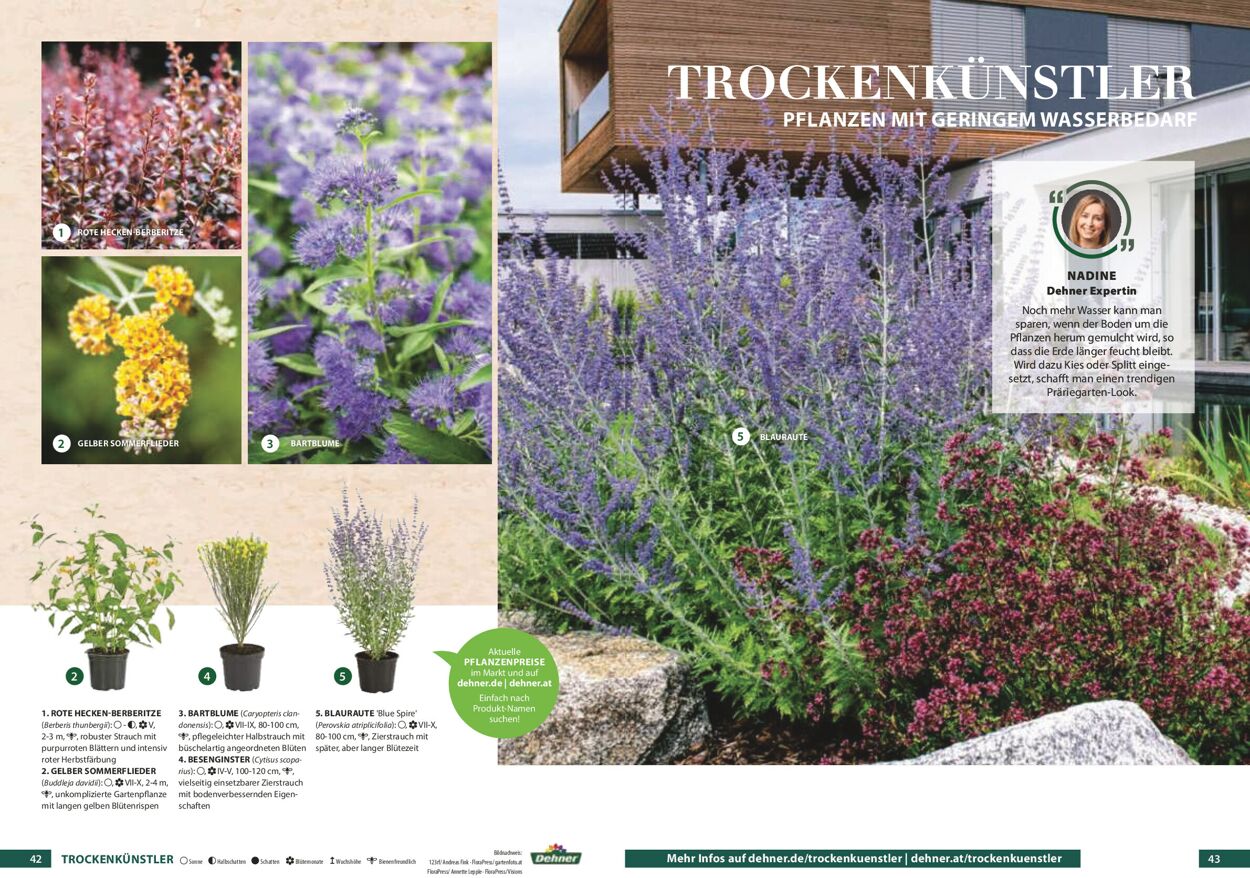 Prospekt Dehner 01.01.2021 - 31.12.2021