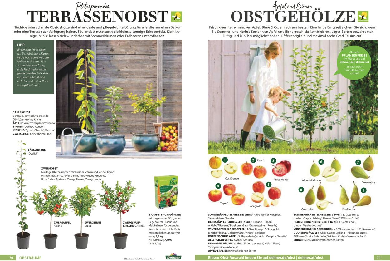 Prospekt Dehner 01.01.2021 - 31.12.2021