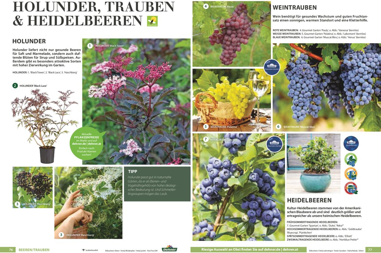 Prospekt Dehner 01.01.2021 - 31.12.2021
