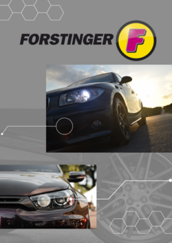 Prospekt Forstinger 25.11.2024 - 04.12.2024