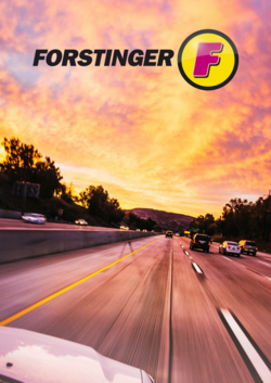 Prospekt Forstinger 06.01.2025 - 15.01.2025