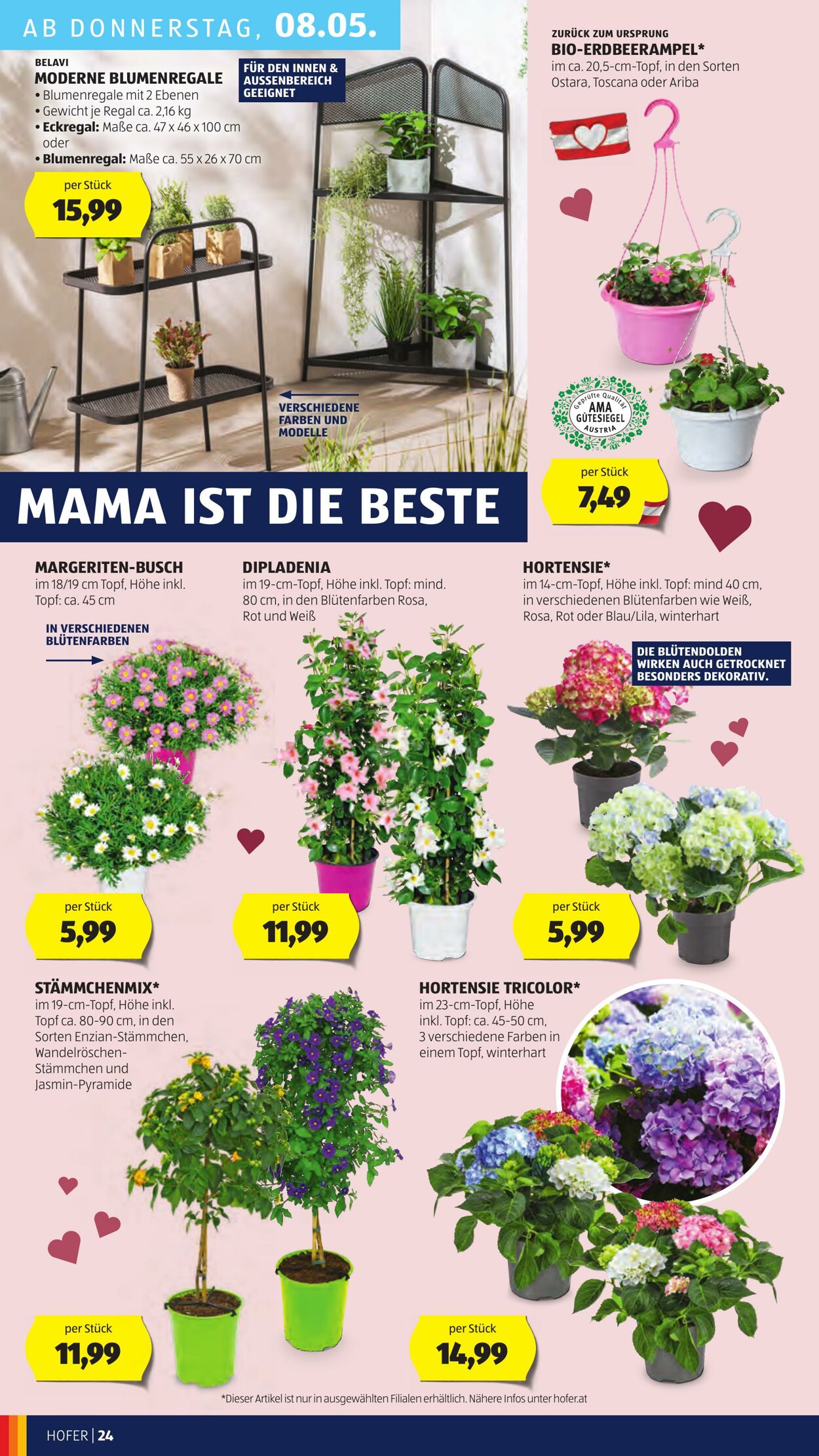 Prospekt Hofer 02.05.2025 - 08.05.2025
