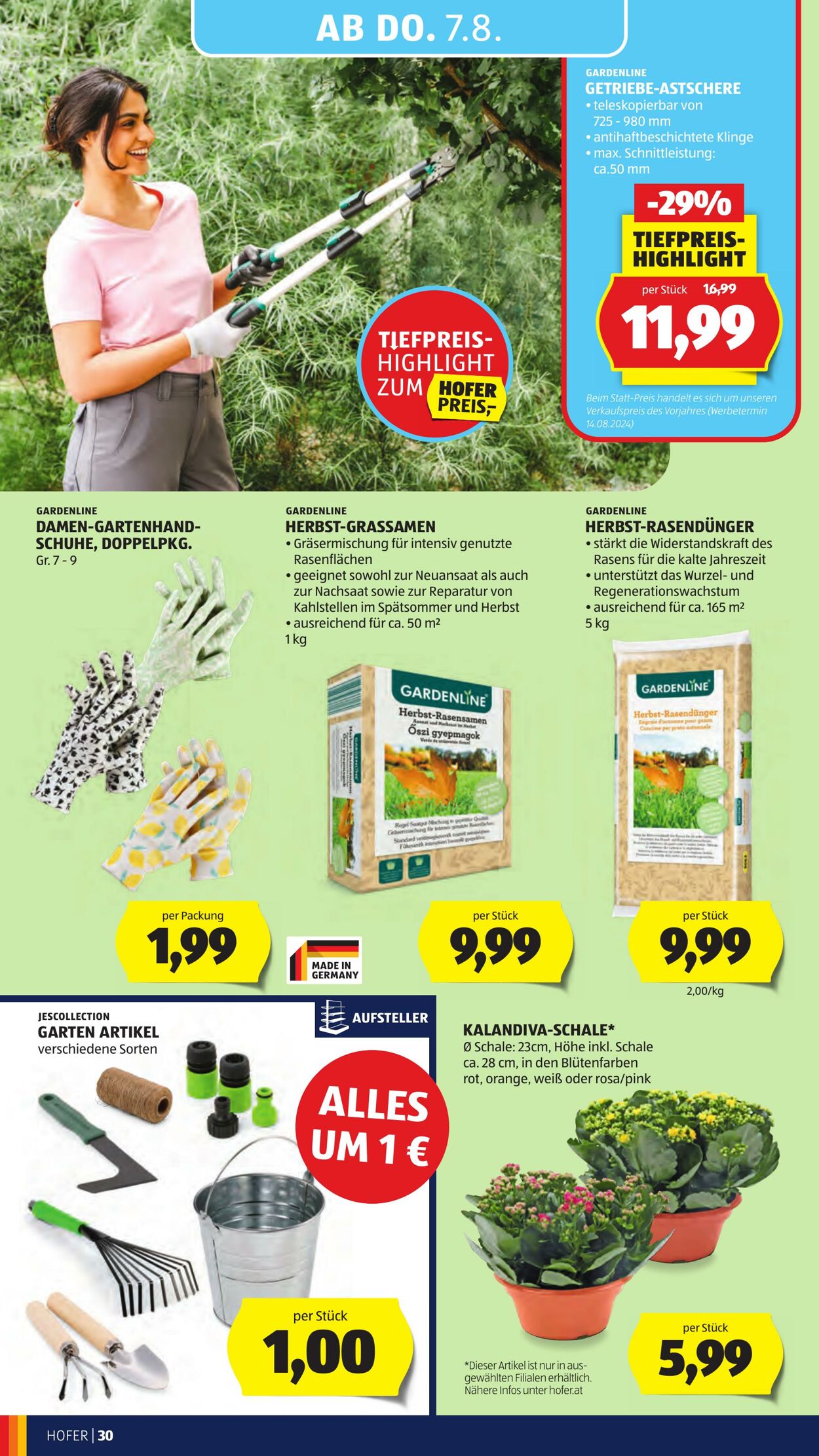 Prospekt Hofer 01.08.2025 - 07.08.2025