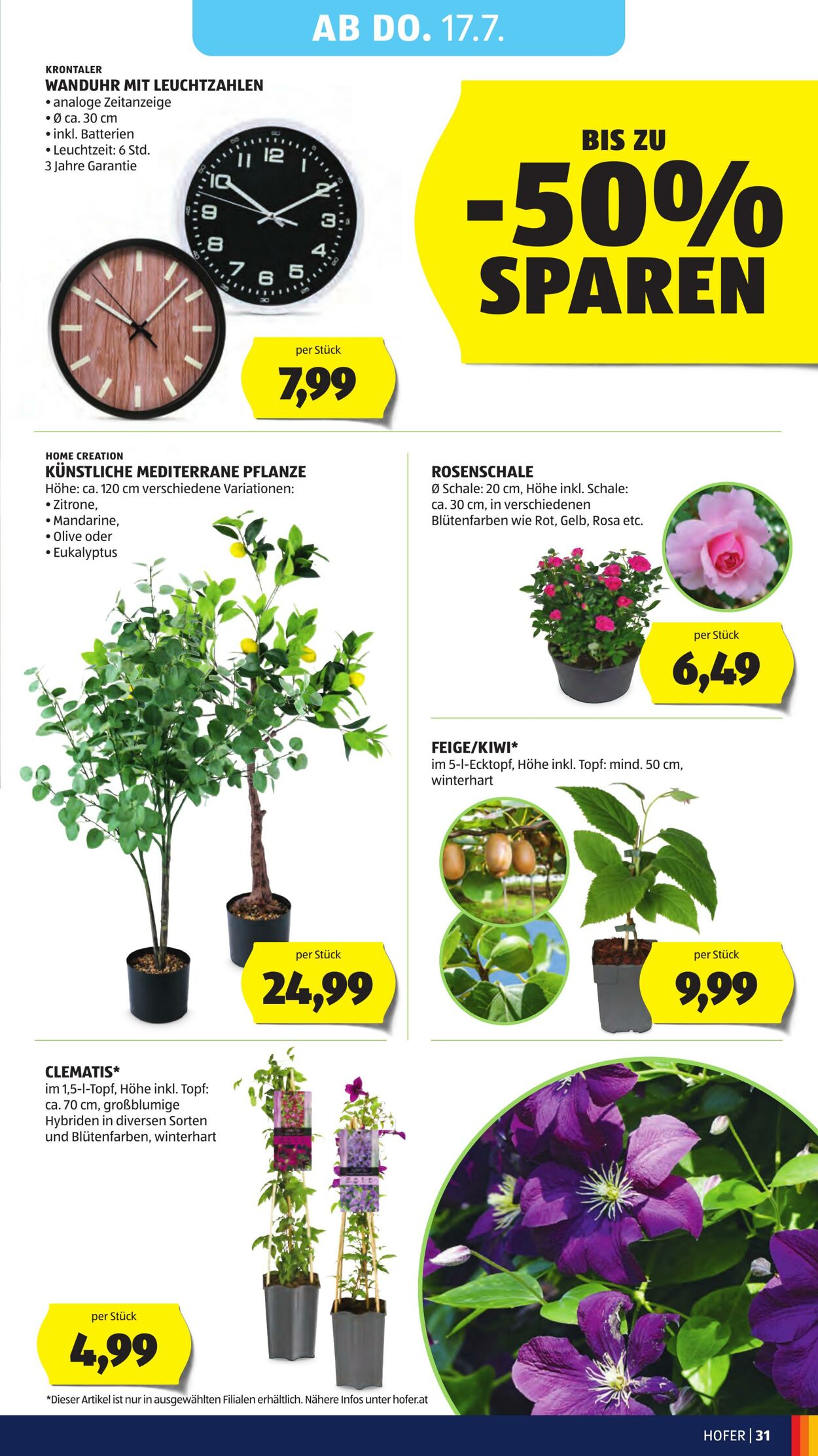 Prospekt Hofer 11.07.2025 - 17.07.2025