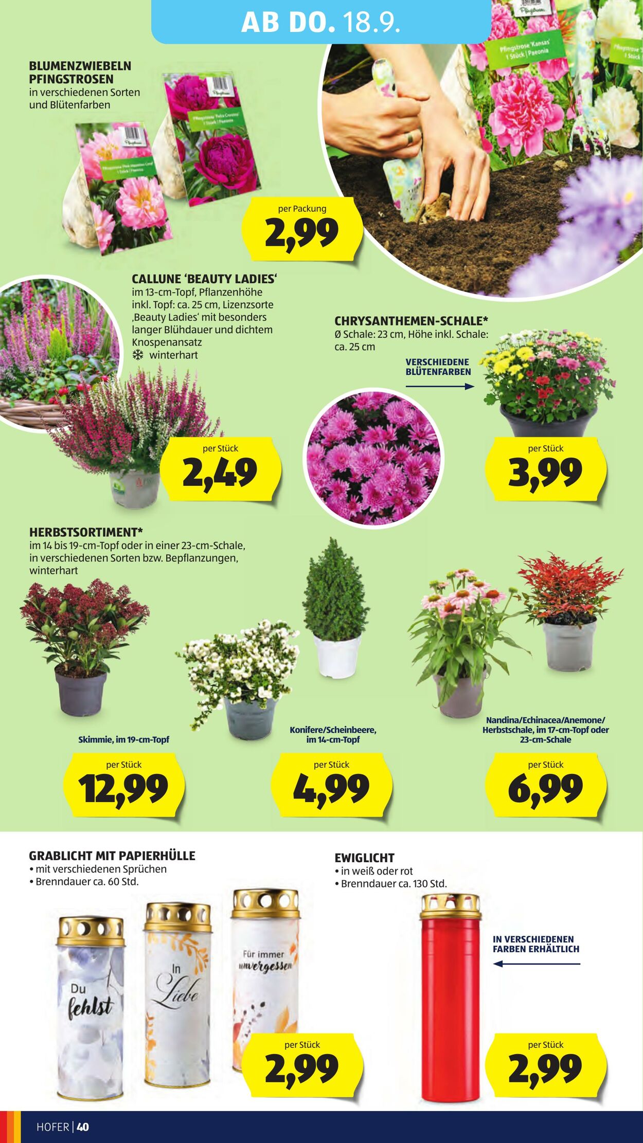 Prospekt Hofer 12.09.2025 - 18.09.2025
