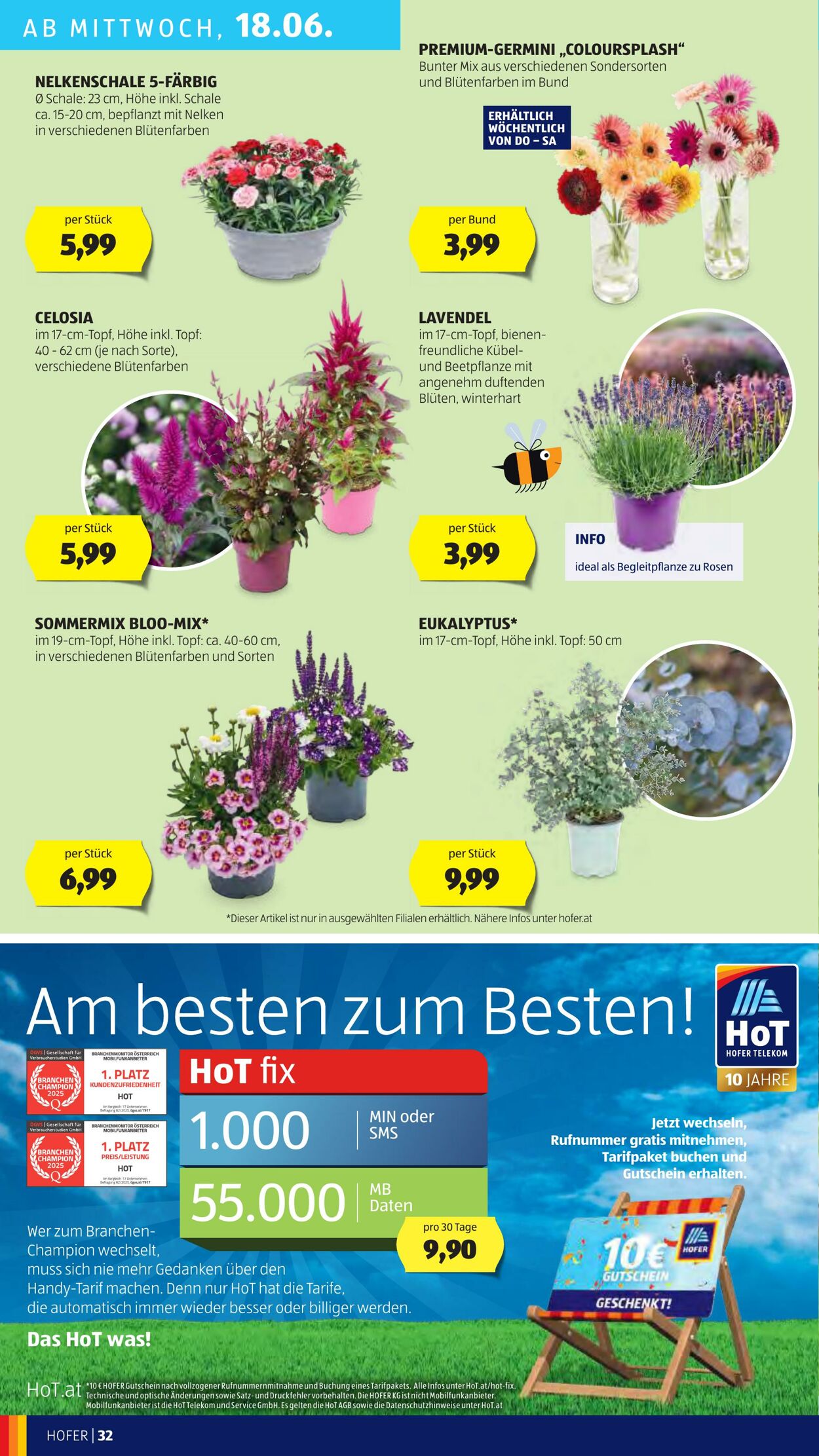 Prospekt Hofer 13.06.2025 - 18.06.2025