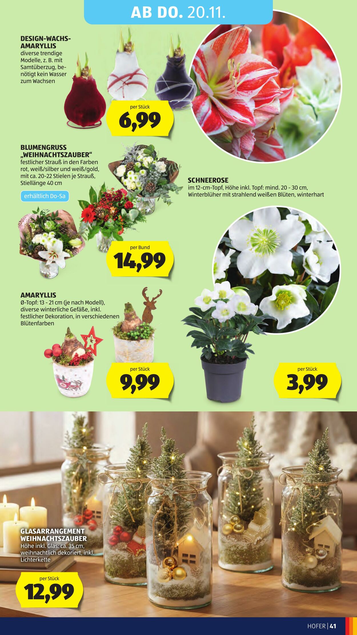 Prospekt Hofer 14.11.2025 - 20.11.2025