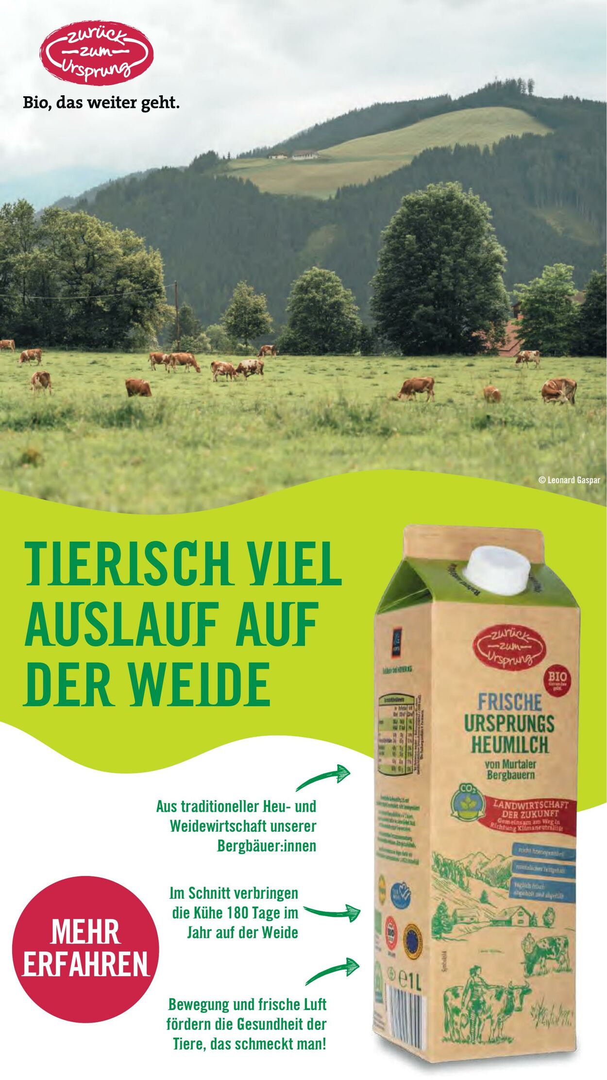 Prospekt Hofer 16.05.2025 - 22.05.2025