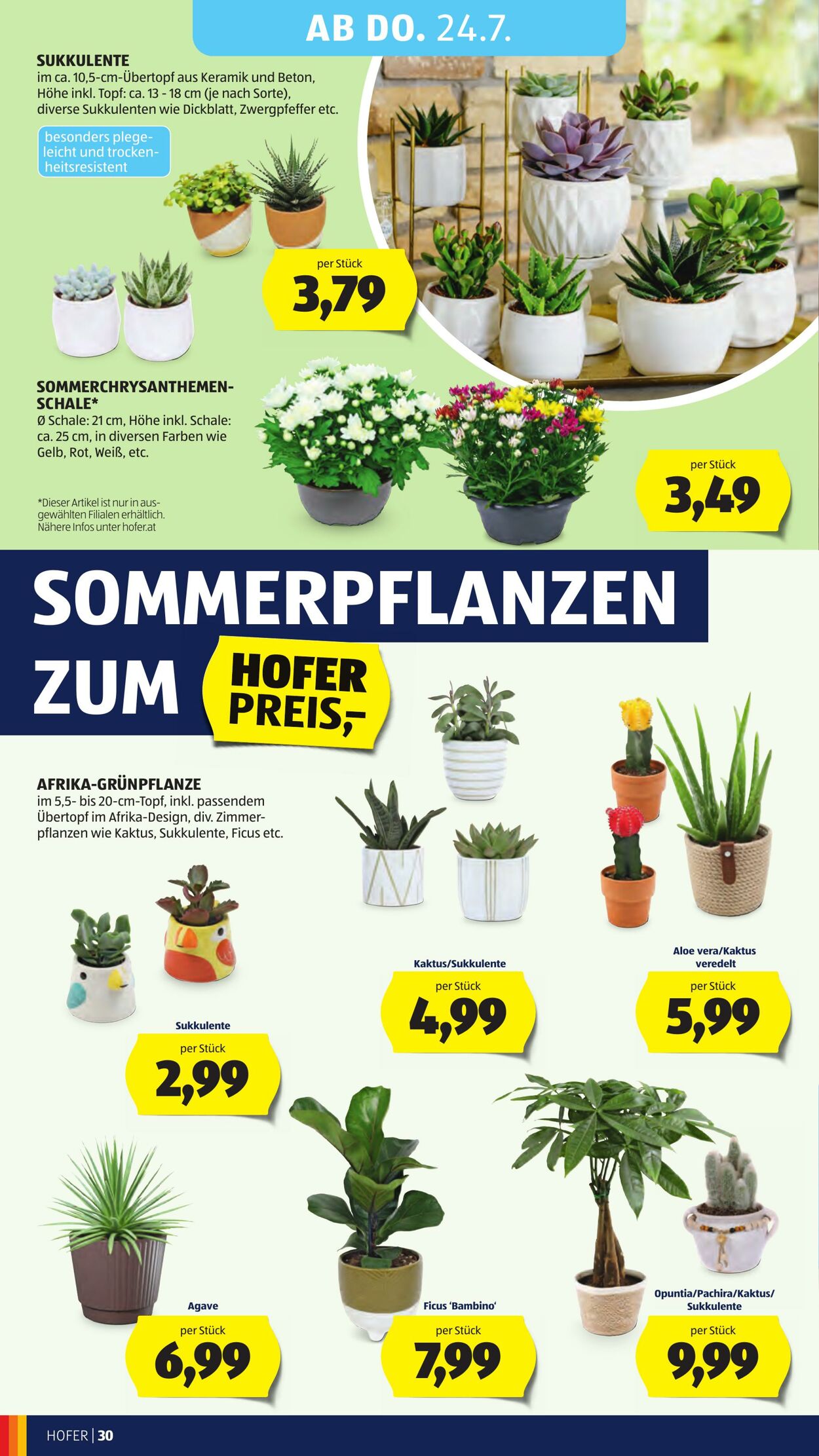 Prospekt Hofer 18.07.2025 - 24.07.2025