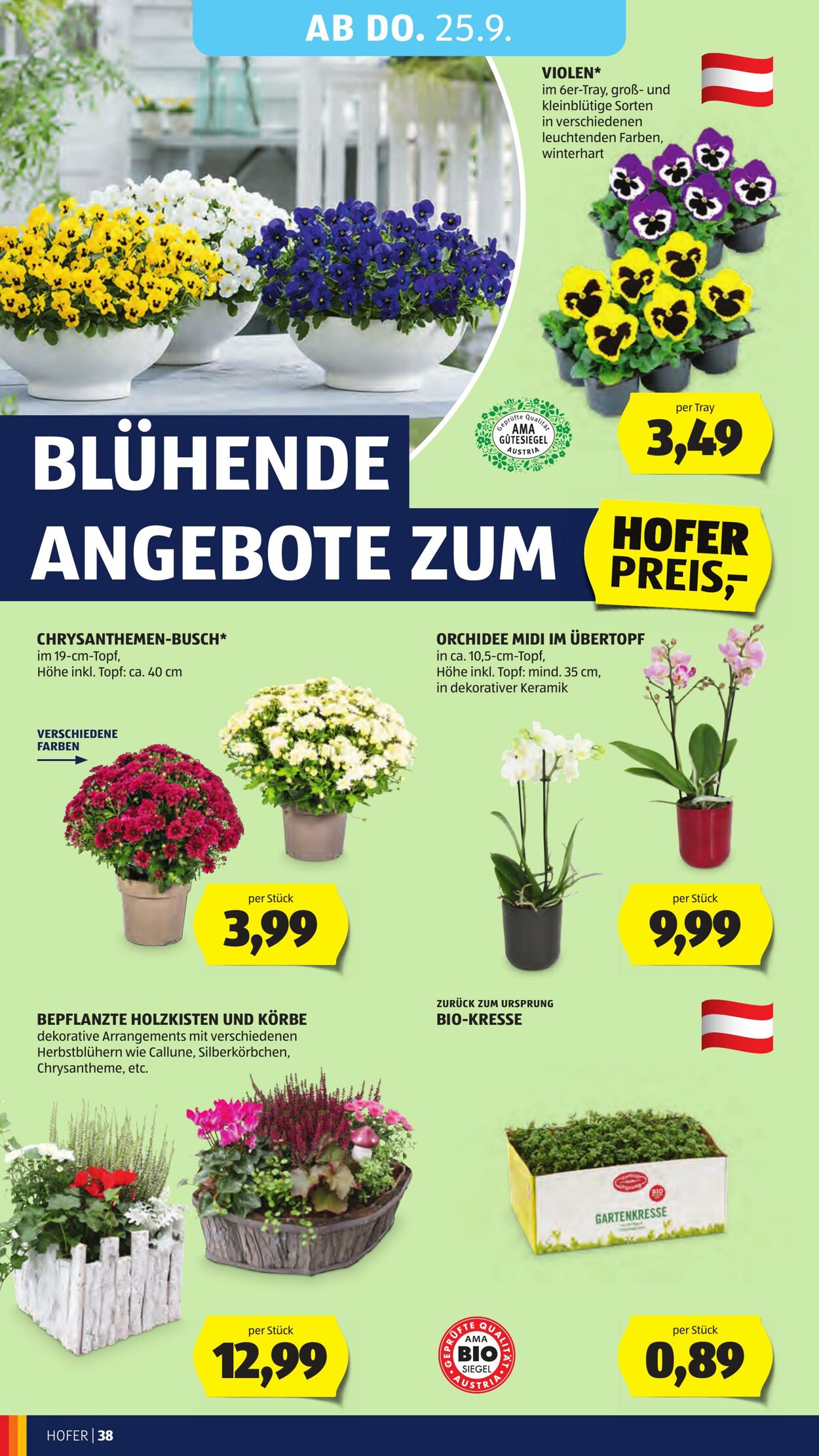 Prospekt Hofer 19.09.2025 - 25.09.2025