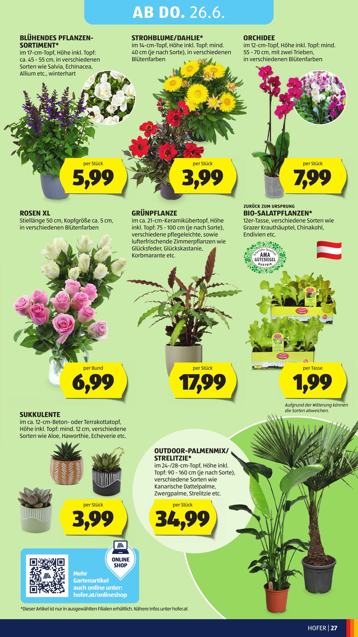 Prospekt Hofer 20.06.2025 - 26.06.2025