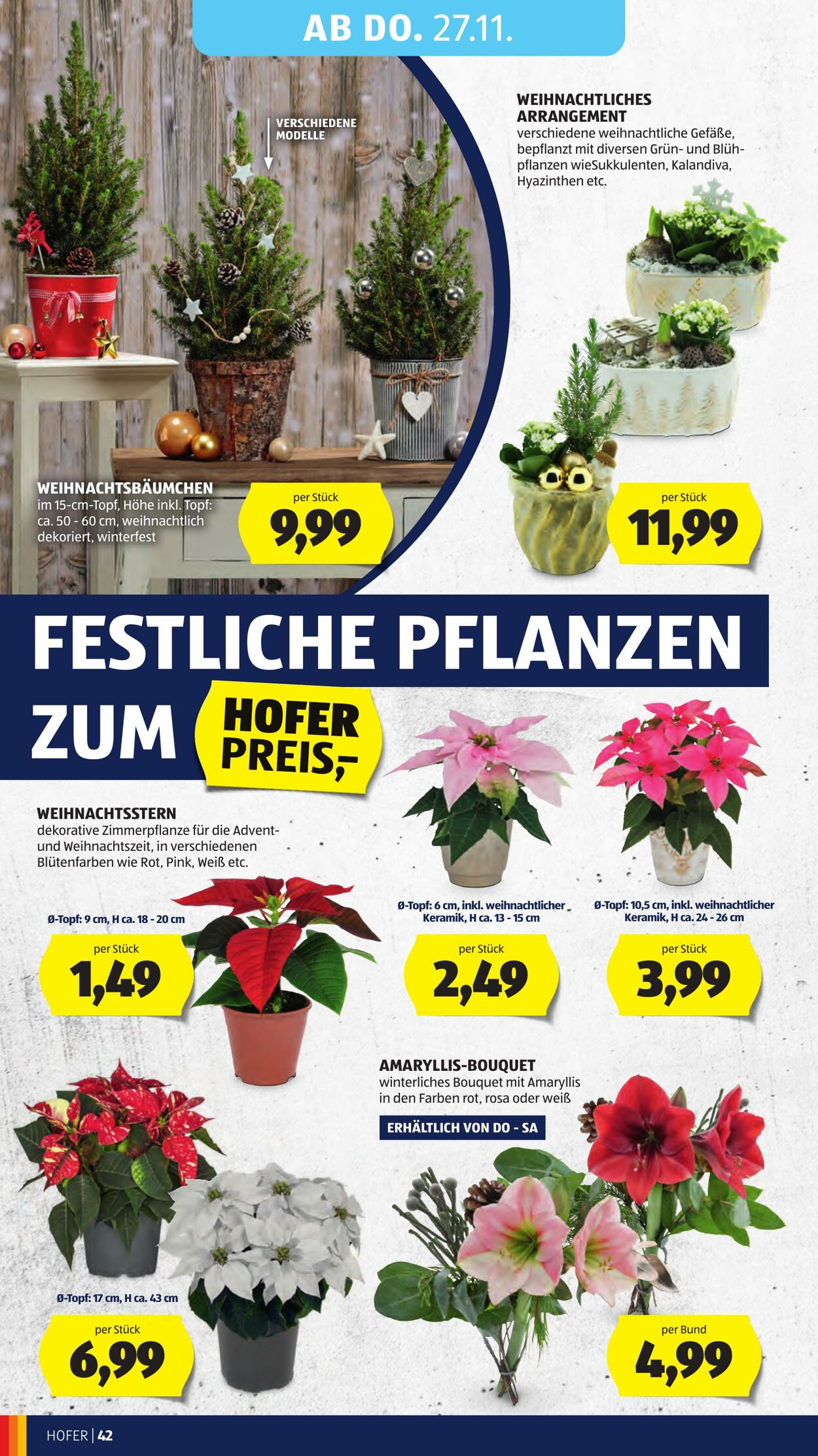 Prospekt Hofer 21.11.2025 - 27.11.2025