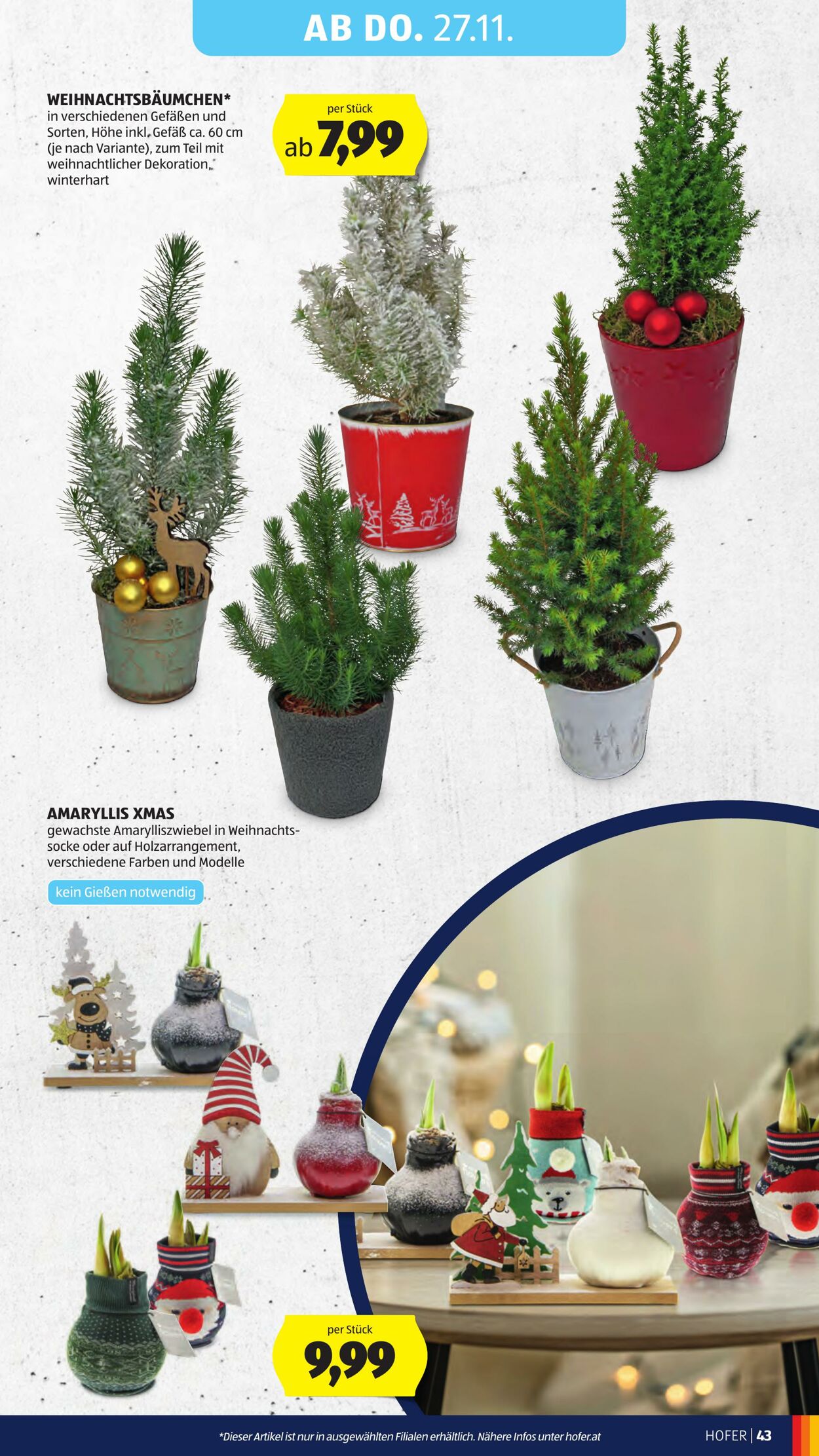 Prospekt Hofer 21.11.2025 - 27.11.2025