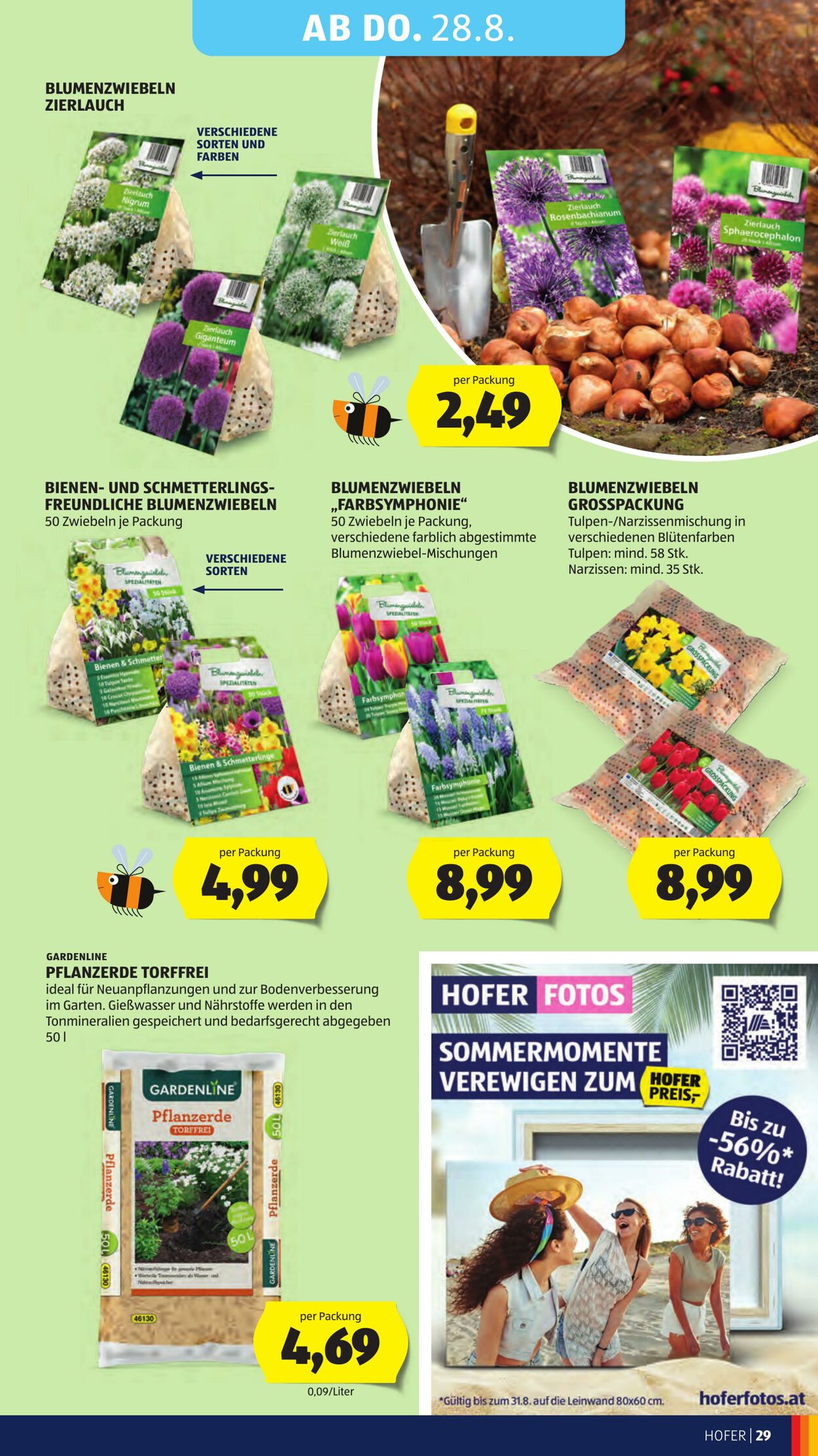 Prospekt Hofer 22.08.2025 - 28.08.2025