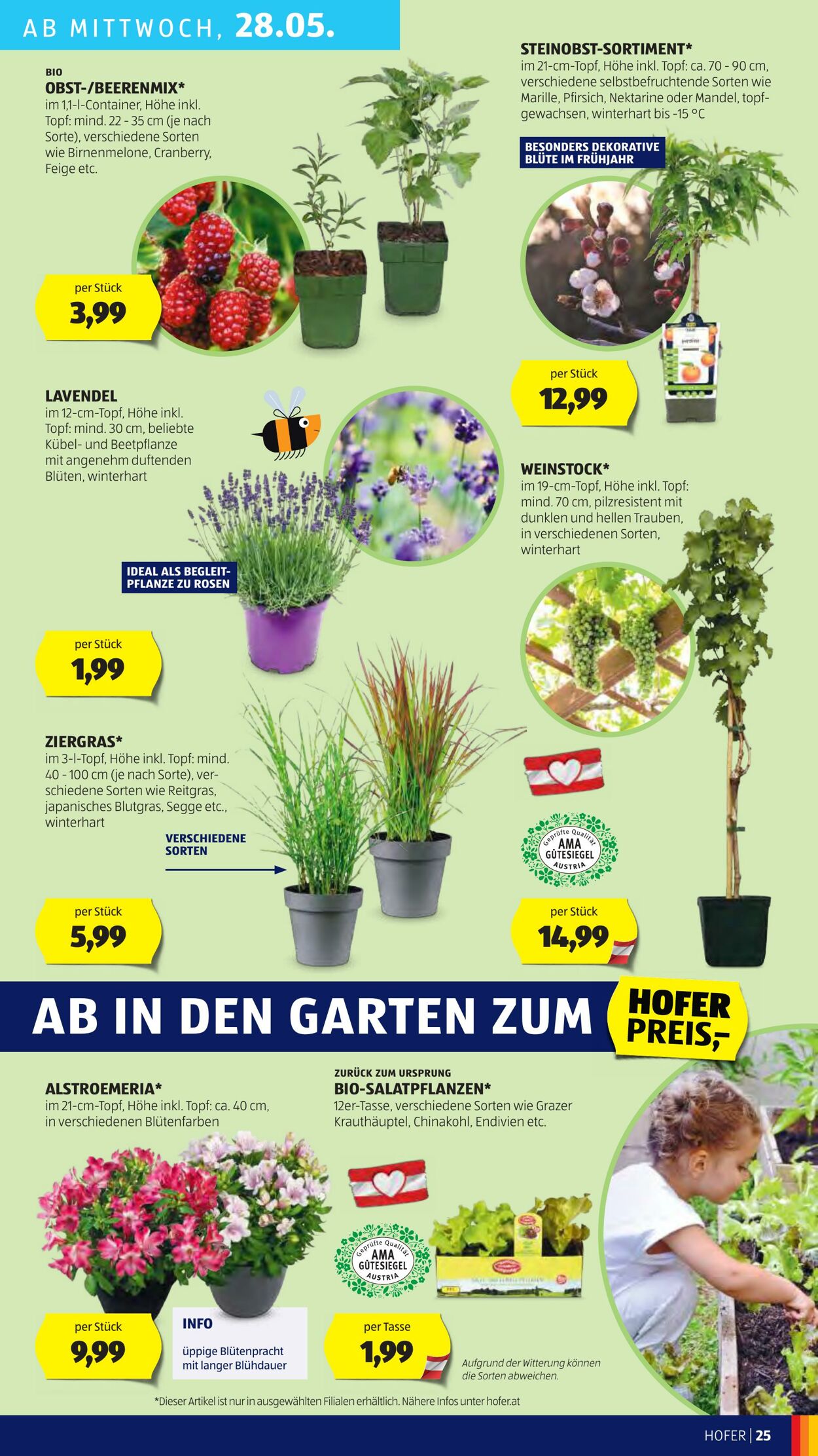 Prospekt Hofer 23.05.2025 - 28.05.2025