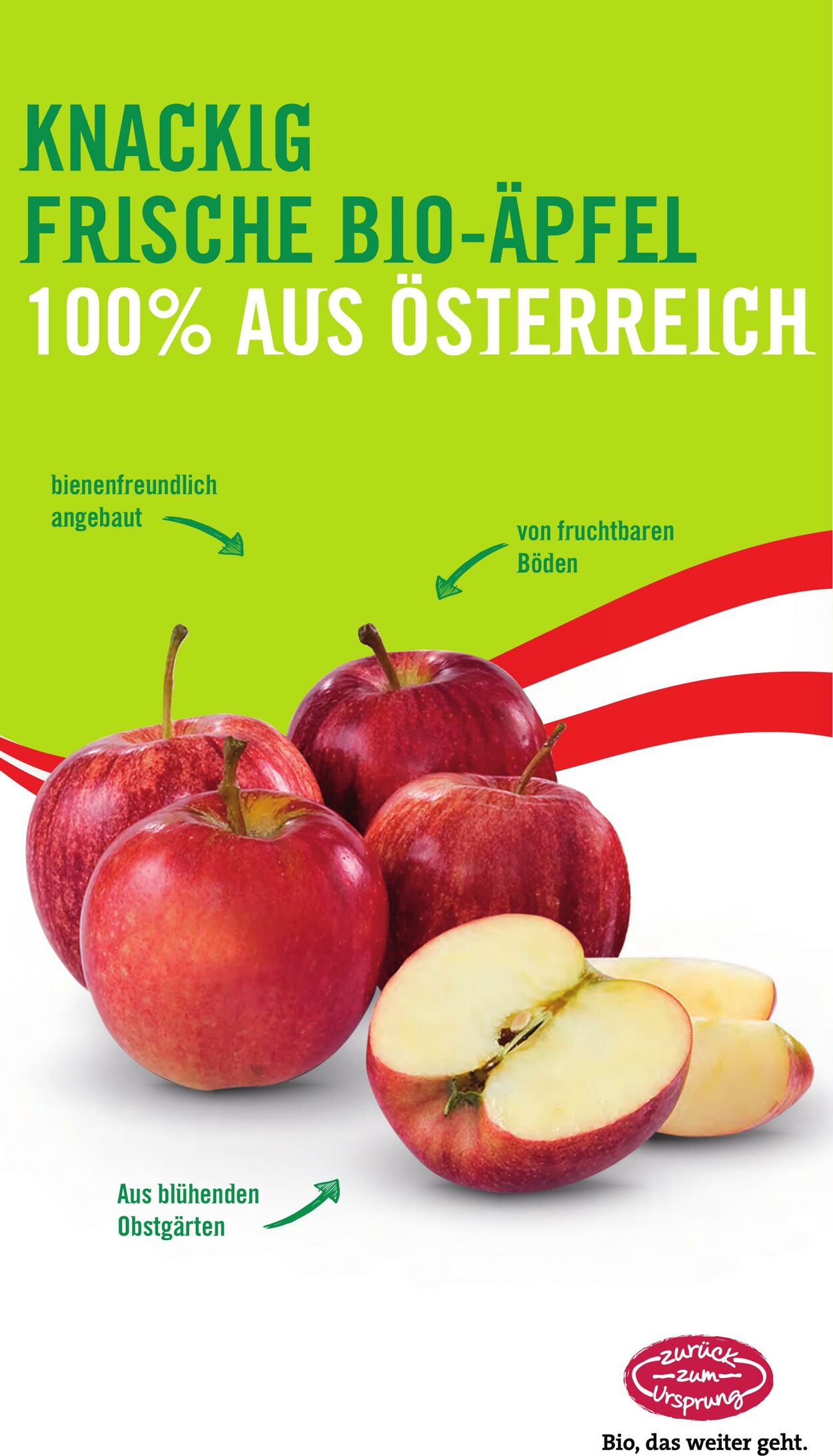 Prospekt Hofer 26.09.2025 - 02.10.2025
