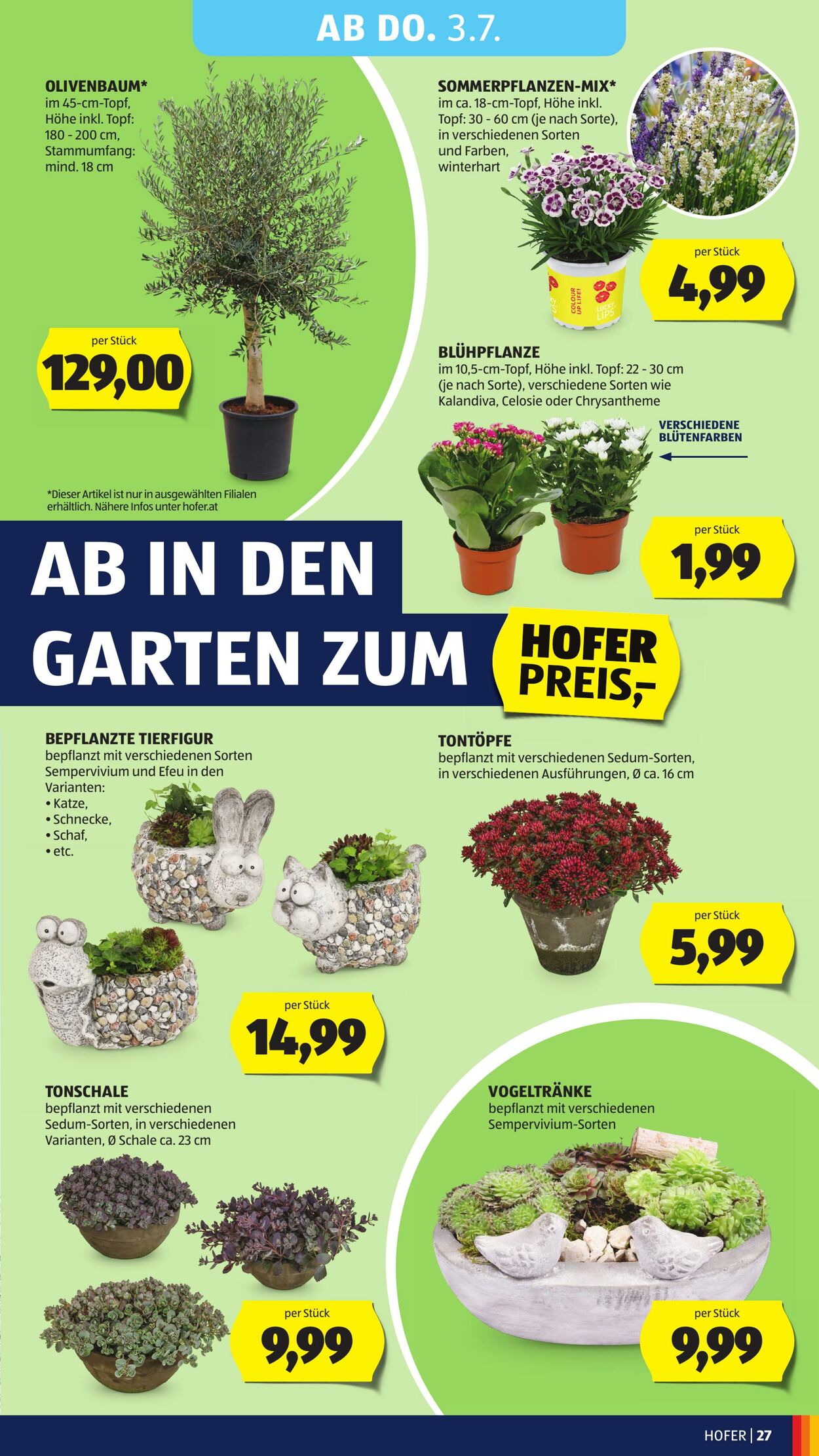 Prospekt Hofer 27.06.2025 - 03.07.2025