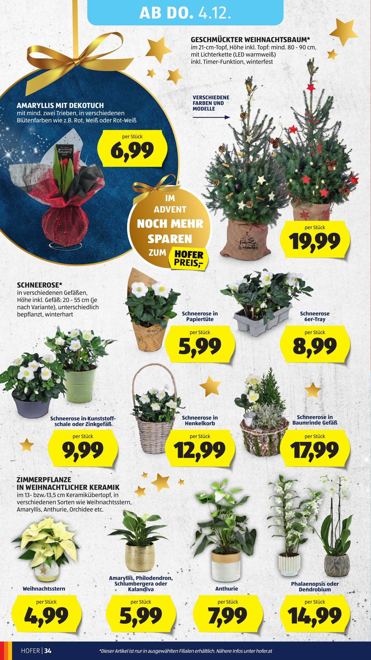 Prospekt Hofer 28.11.2025 - 04.12.2025