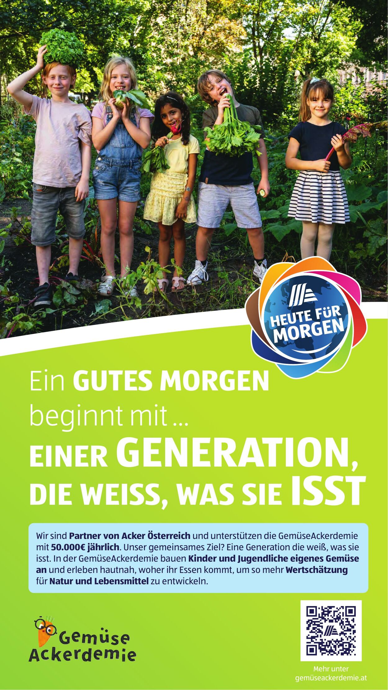 Prospekt Hofer 29.08.2025 - 04.09.2025