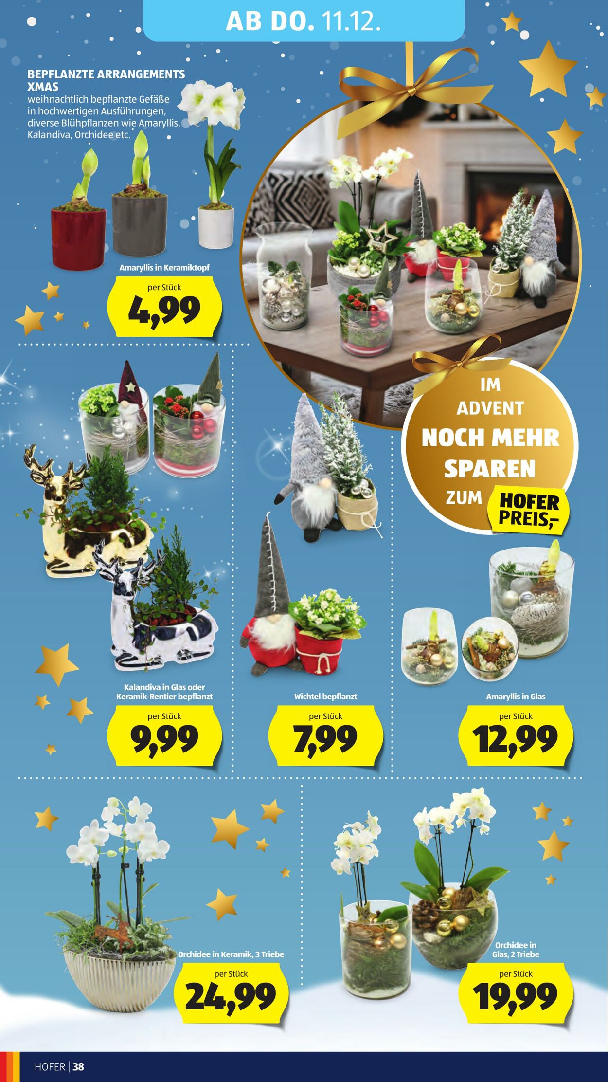 Prospekt Hofer 05.12.2025 - 11.12.2025