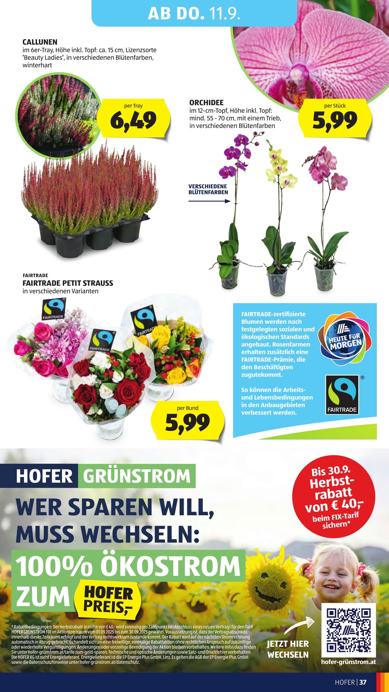 Prospekt Hofer 05.09.2025 - 11.09.2025