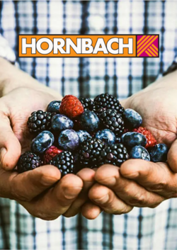 Prospekt Hornbach 07.06.2023 - 15.06.2023