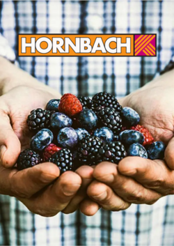 Prospekt Hornbach 28.06.2023 - 06.07.2023