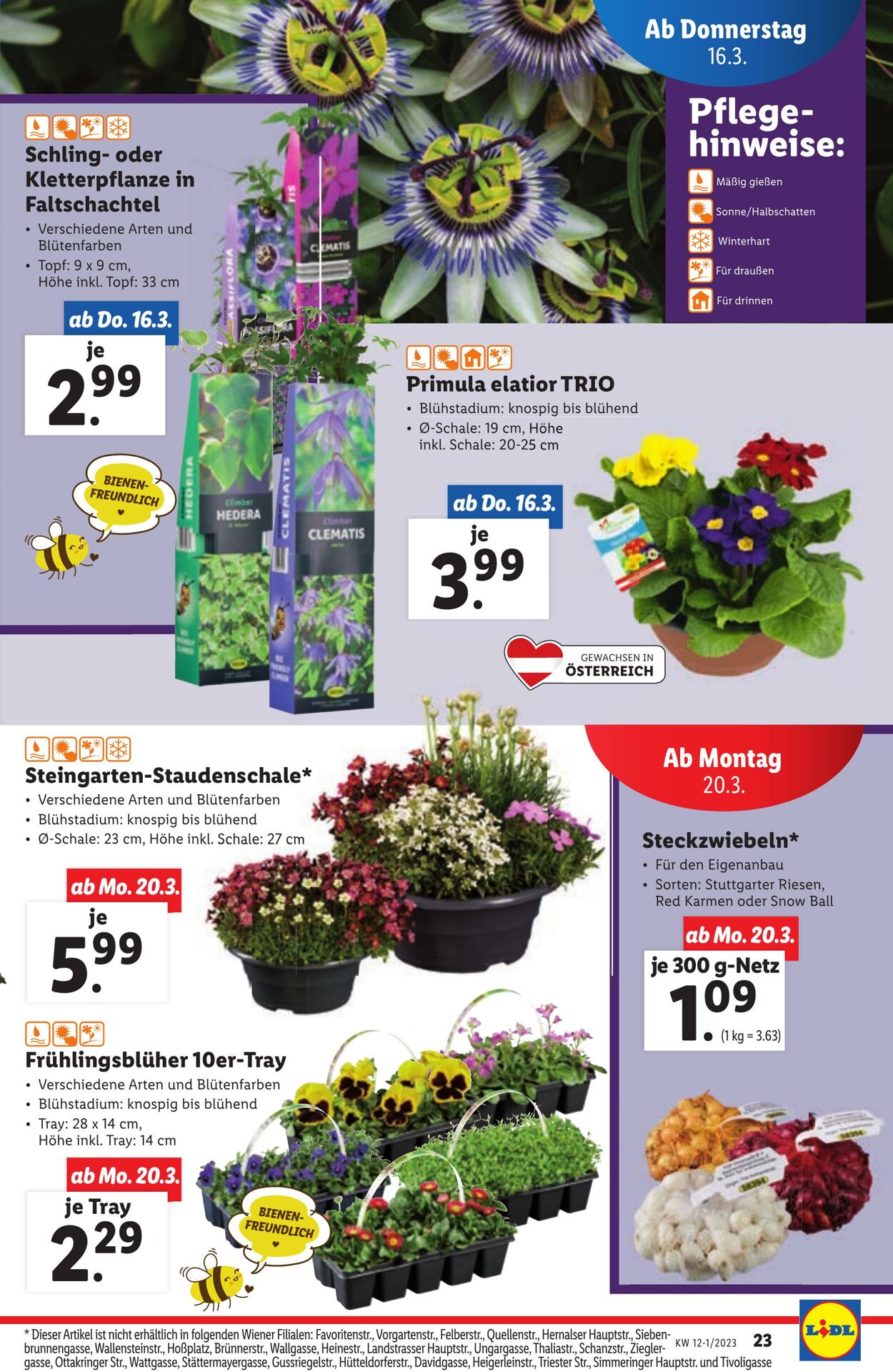 Prospekt Lidl 16.03.2023 - 22.03.2023