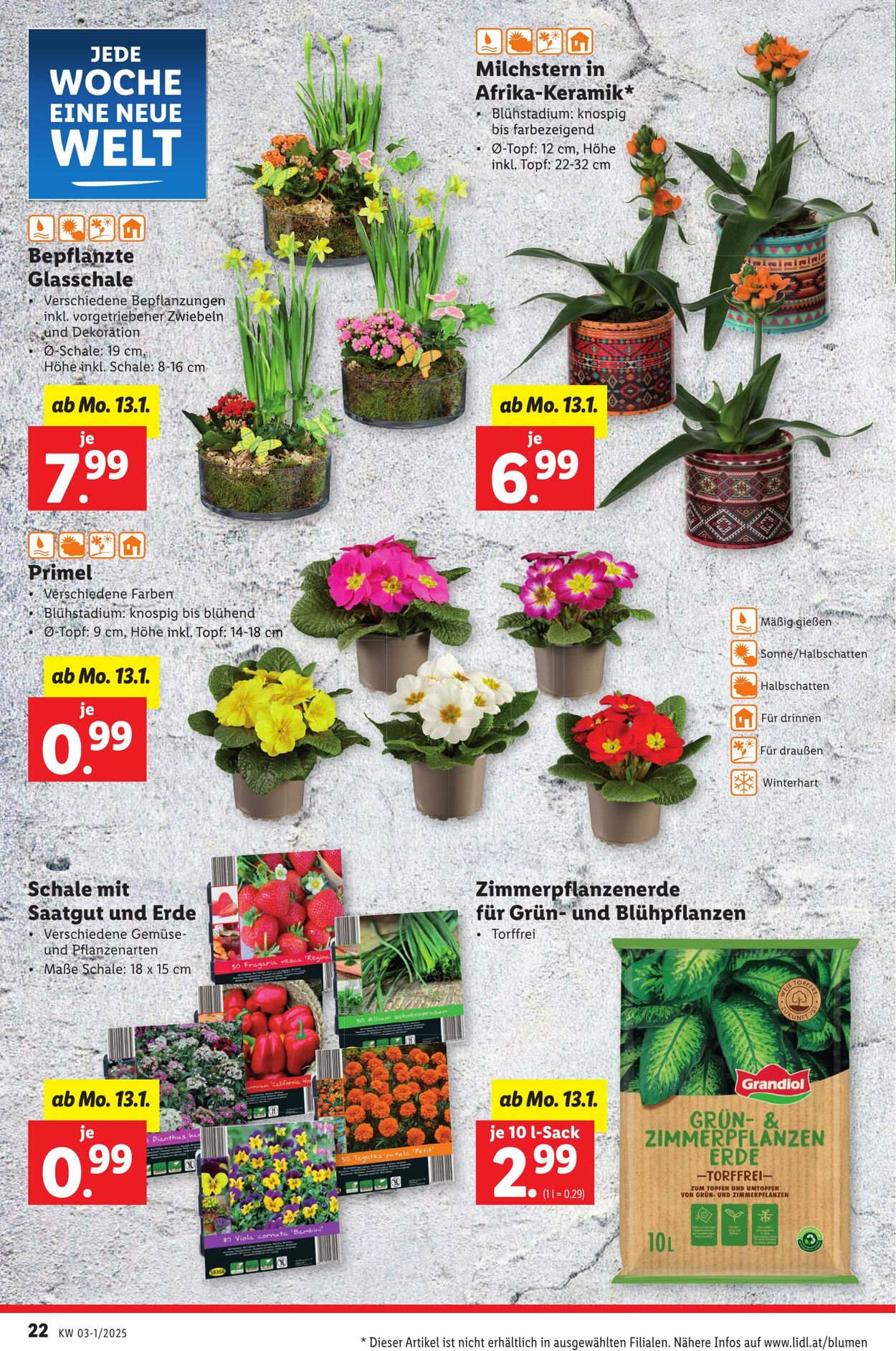 Prospekt Lidl 09.01.2025 - 15.01.2025