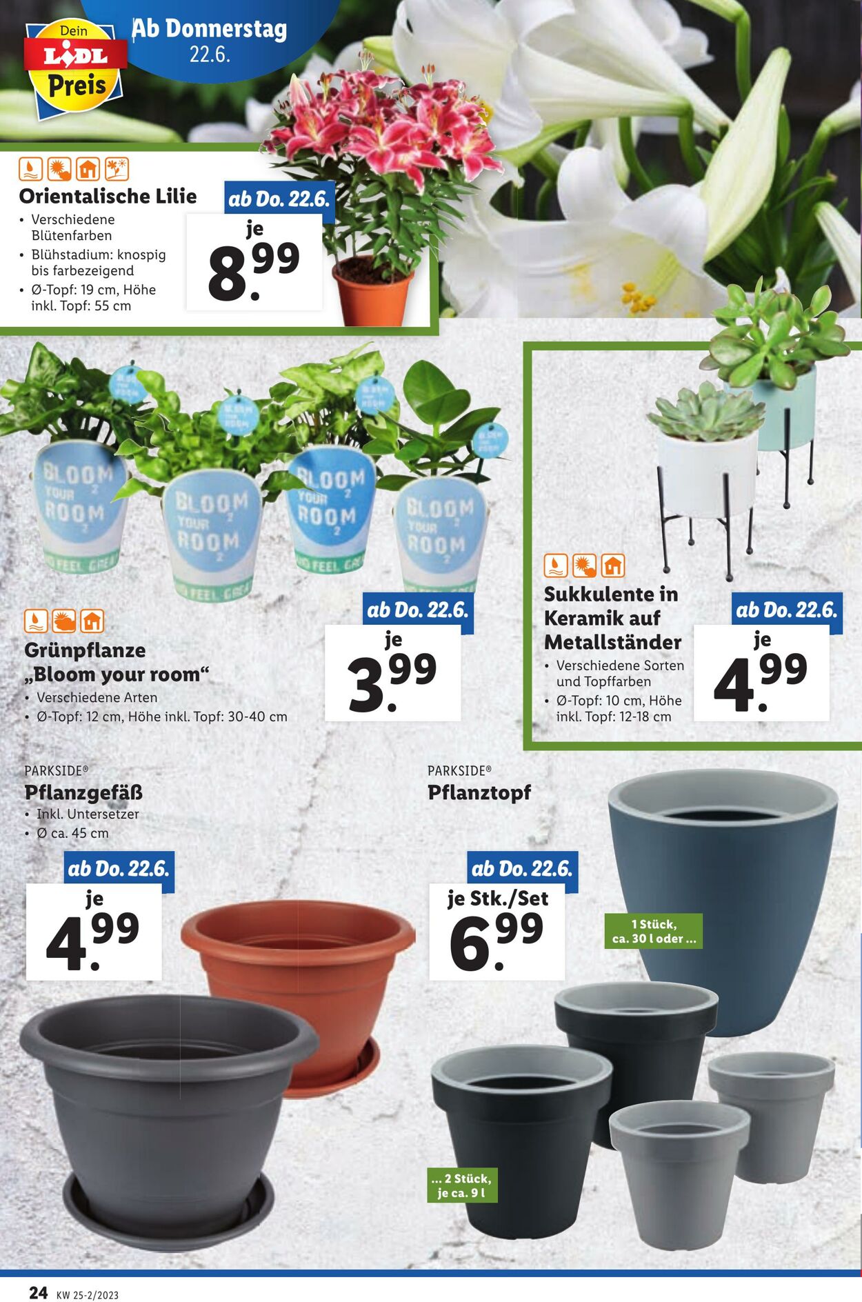 Prospekt Lidl 22.06.2023 - 28.06.2023