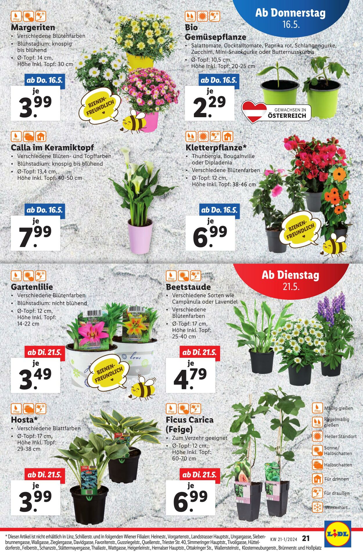 Prospekt Lidl 16.05.2024 - 22.05.2024