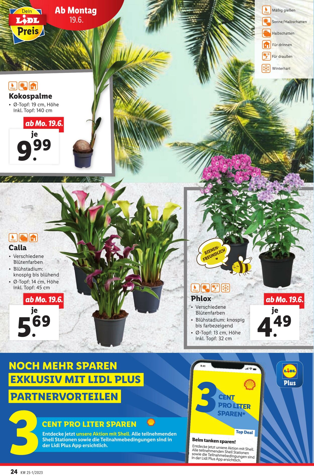 Prospekt Lidl 15.06.2023 - 21.06.2023