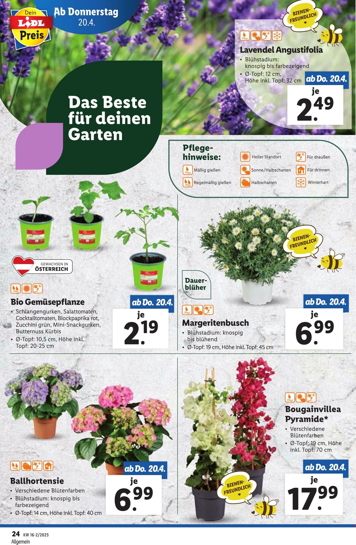 Prospekt Lidl 20.04.2023 - 26.04.2023