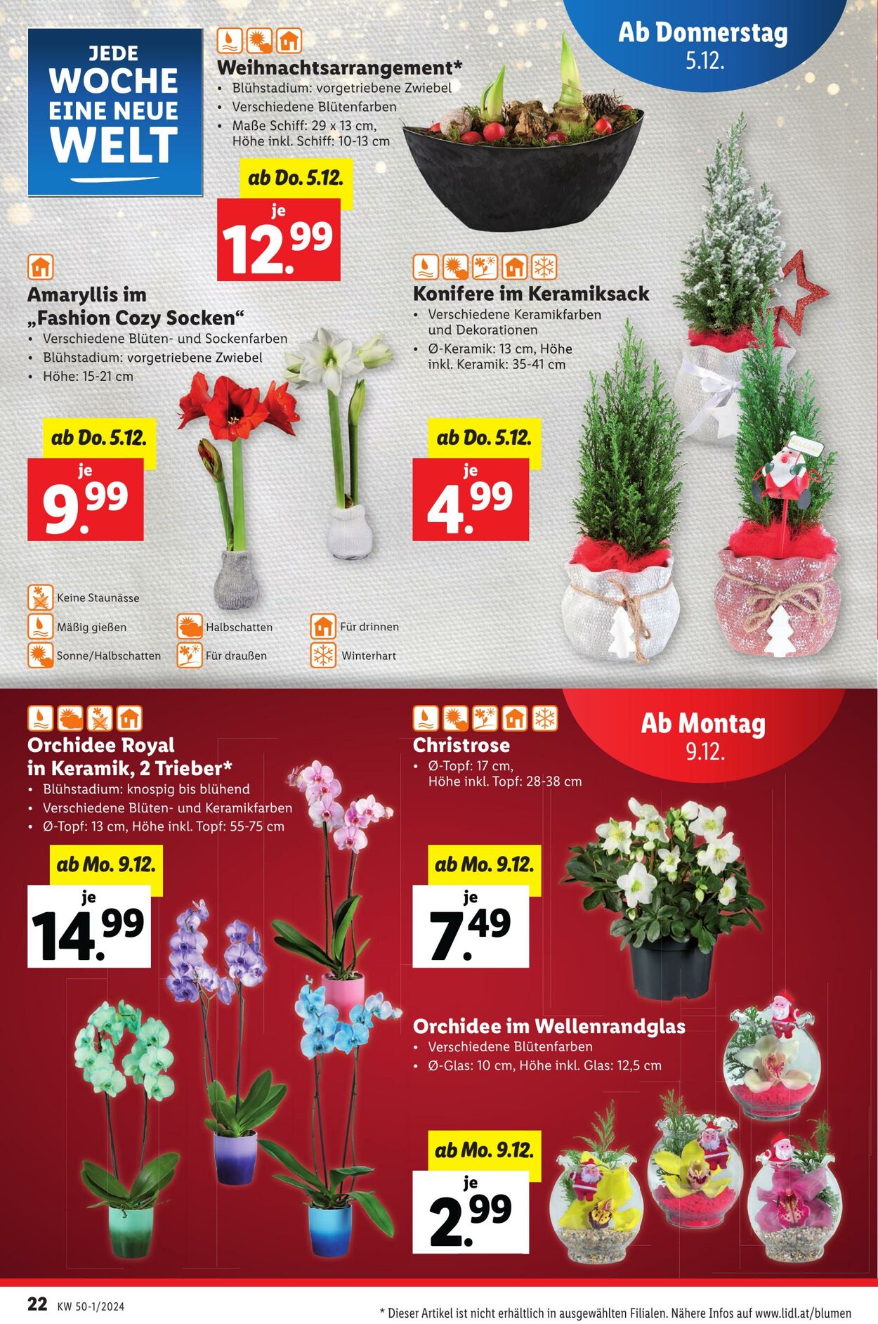 Prospekt Lidl 05.12.2024 - 11.12.2024