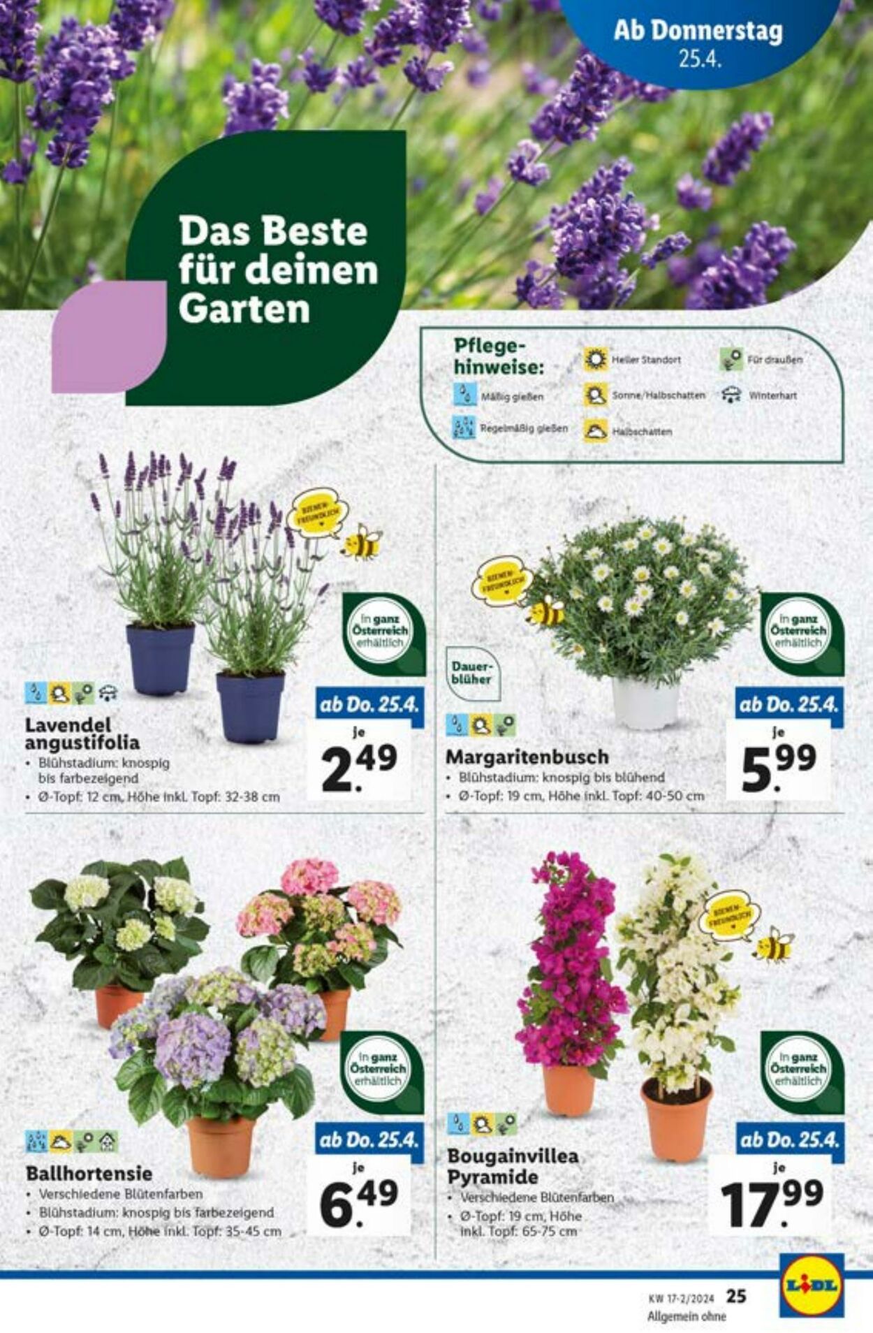 Prospekt Lidl 25.04.2024 - 25.04.2024