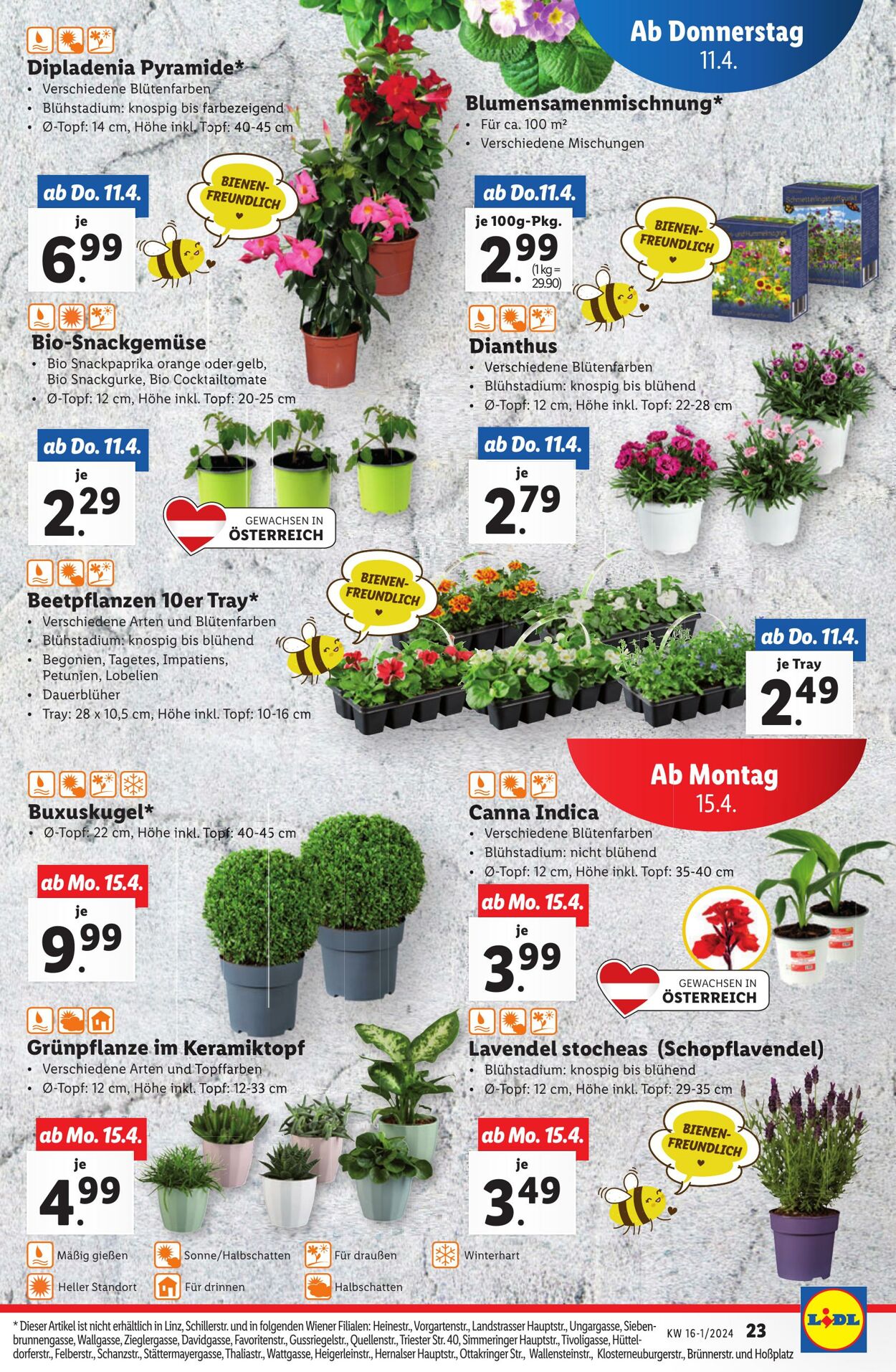 Prospekt Lidl 11.04.2024 - 13.04.2024