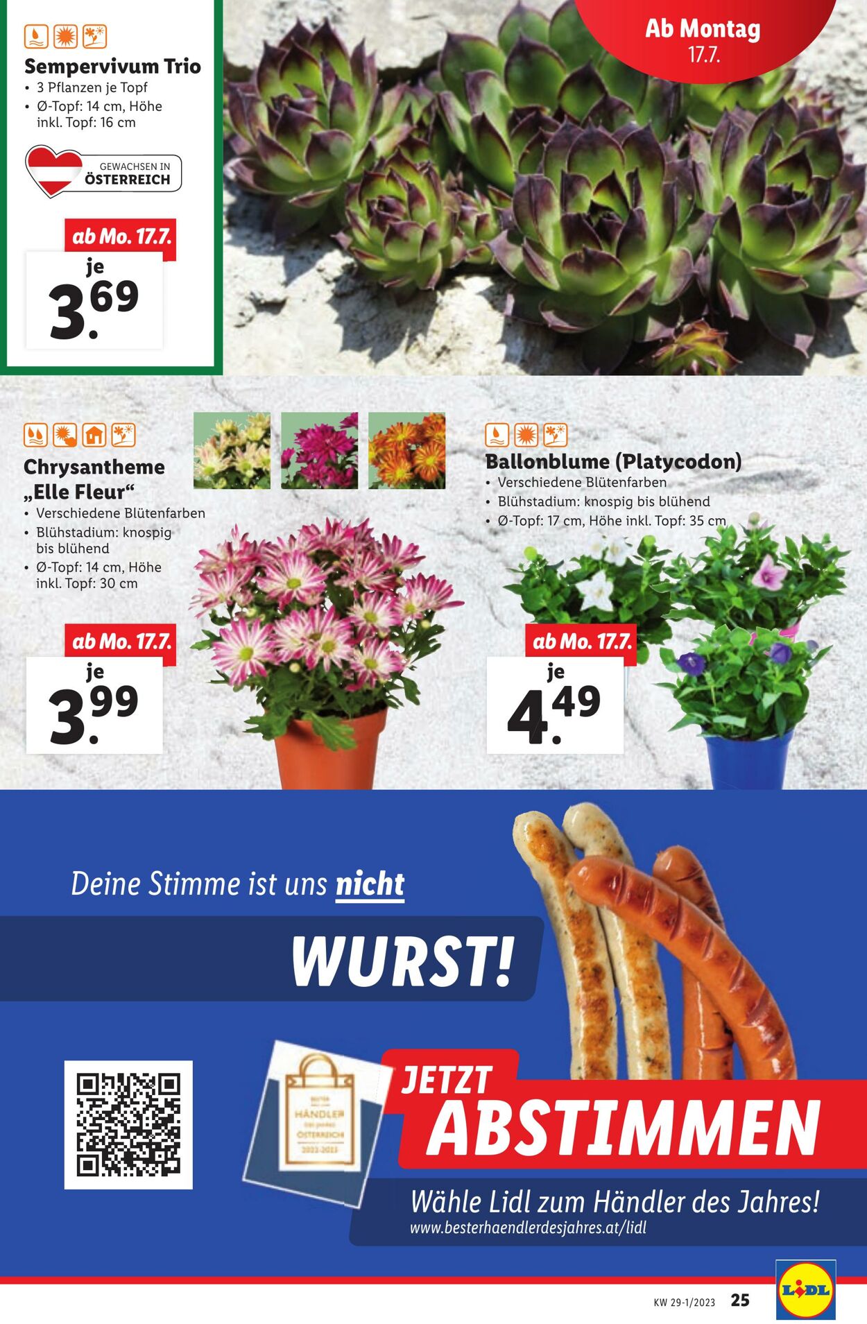 Prospekt Lidl 13.07.2023 - 15.07.2023