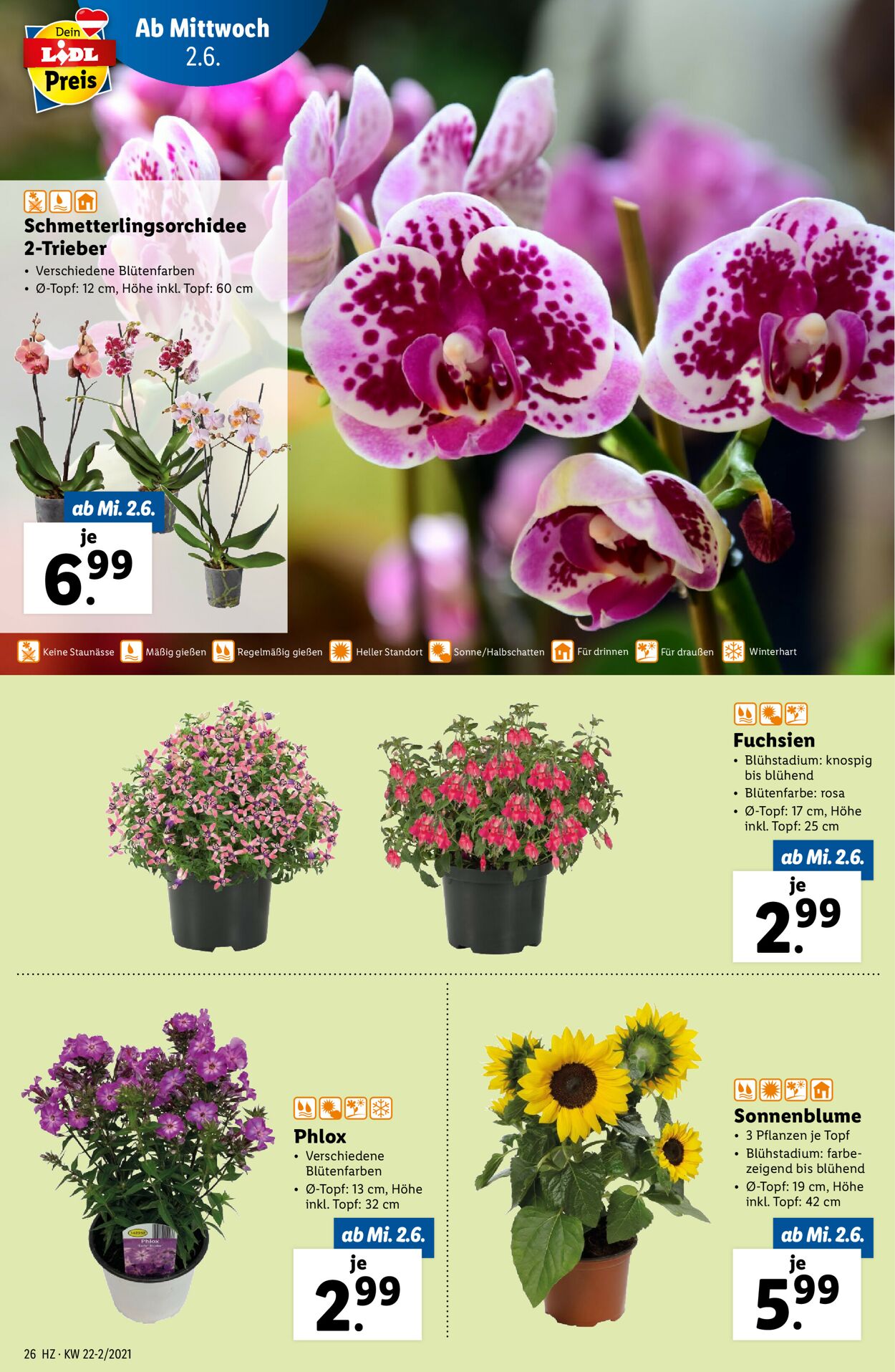 Prospekt Lidl 02.06.2021 - 09.06.2021