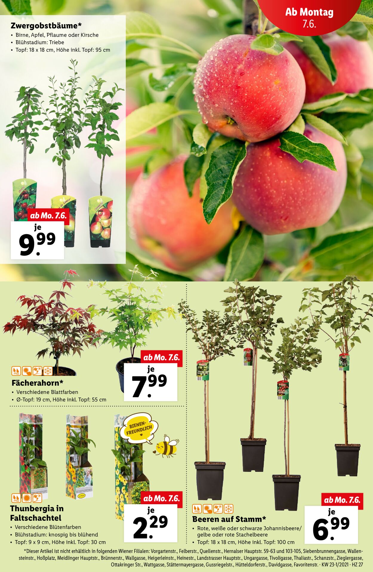 Prospekt Lidl 02.06.2021 - 09.06.2021