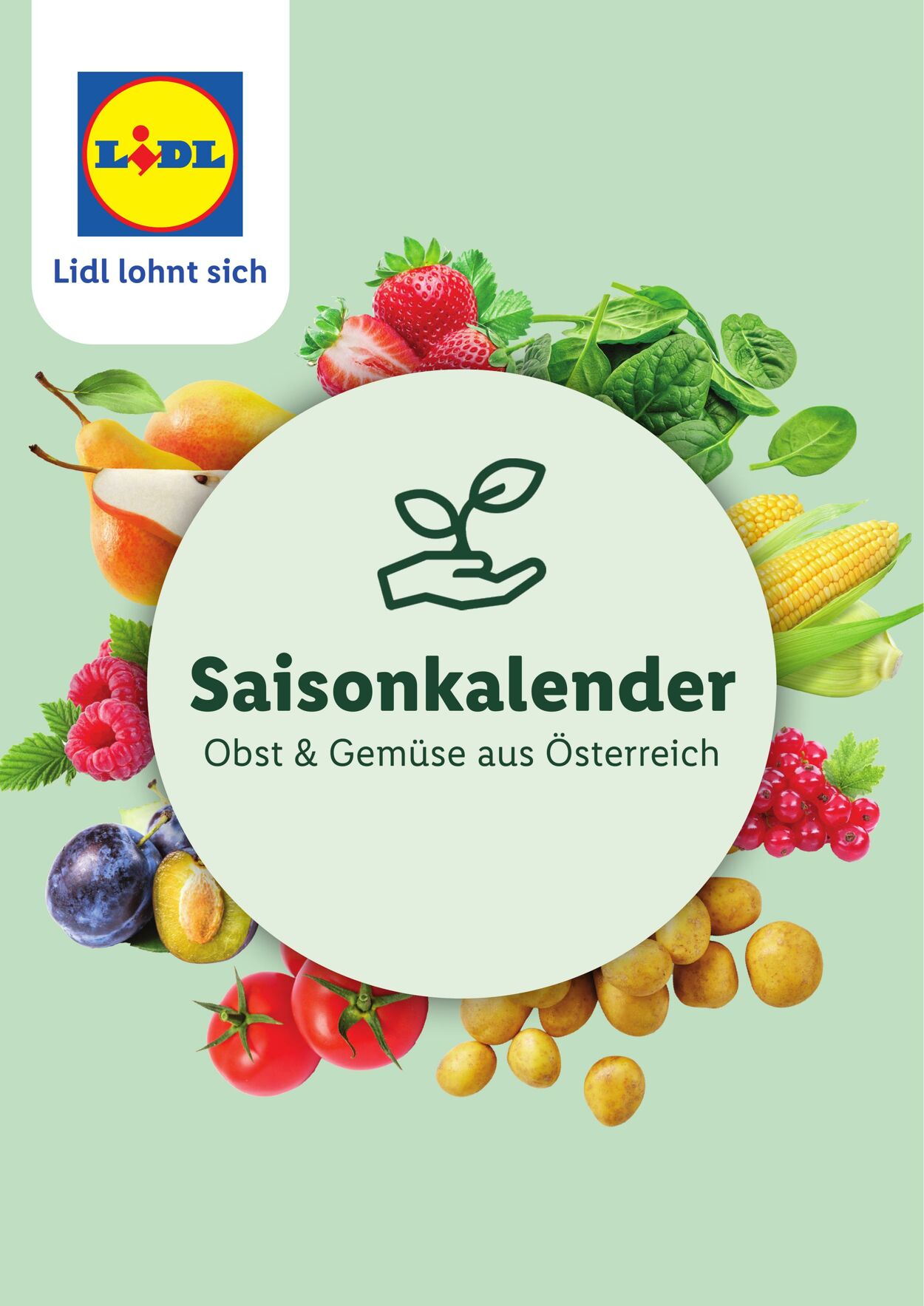Prospekt Lidl - Obst und Gemüse aus Österreich - WIEN, NIEDERÖSTERREICH, BURGENLAND 1 Sep, 2024 - 1 Sep, 2026