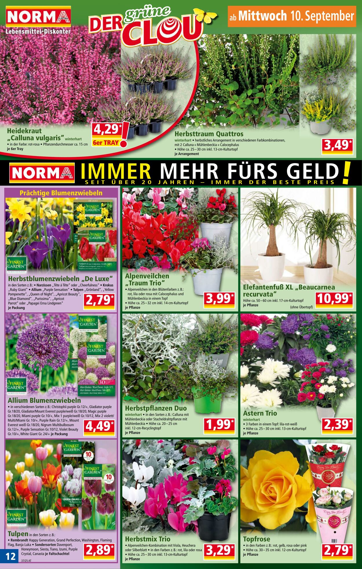 Prospekt Norma 08.09.2025 - 14.09.2025