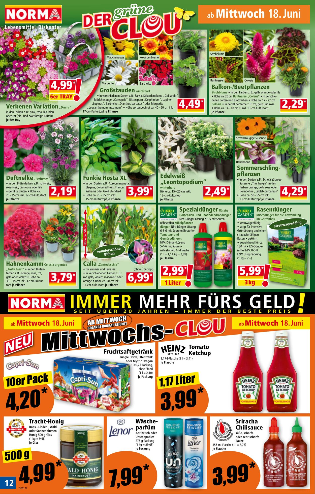Prospekt Norma 16.06.2025 - 22.06.2025