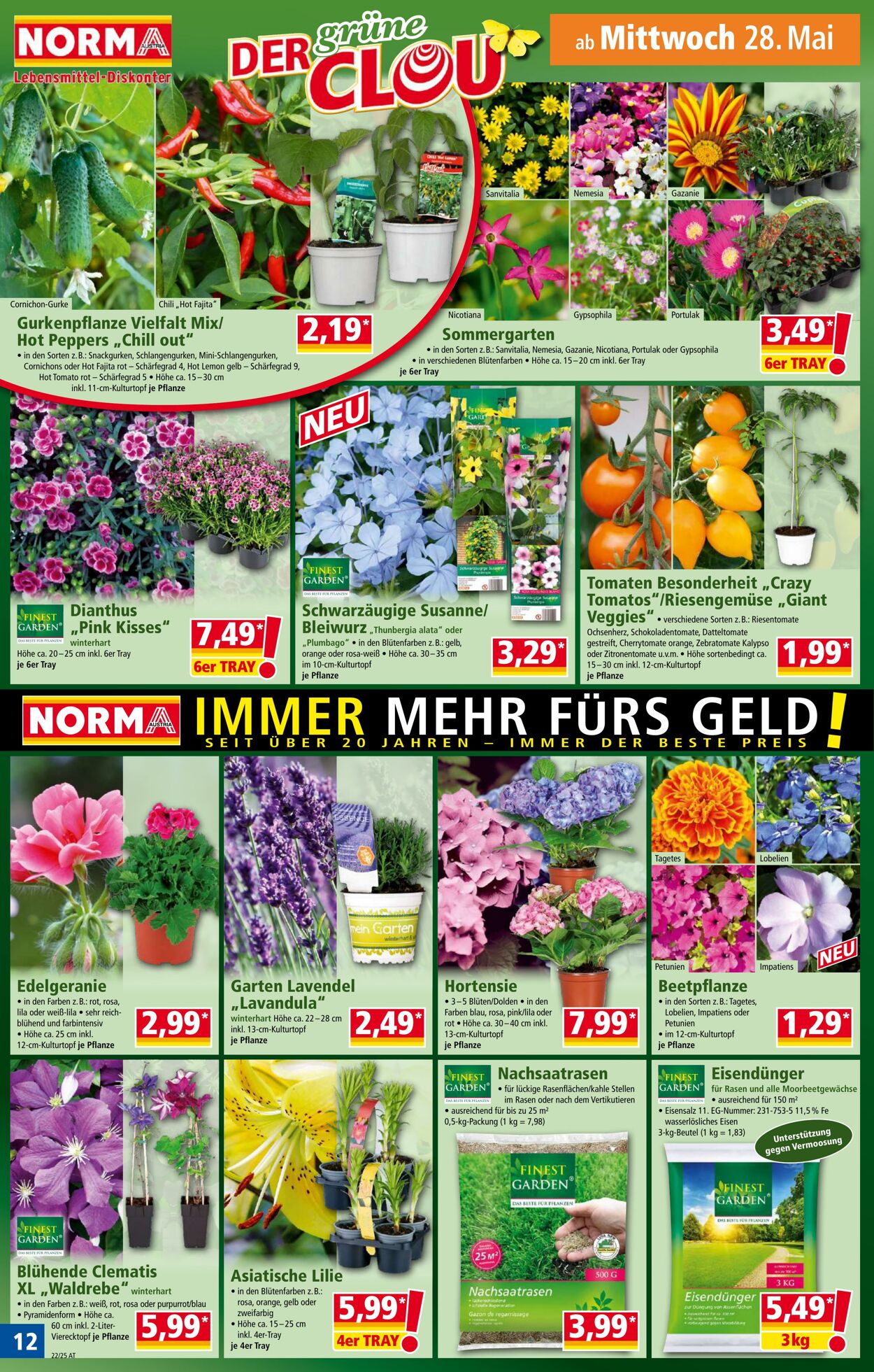 Prospekt Norma 26.05.2025 - 01.06.2025