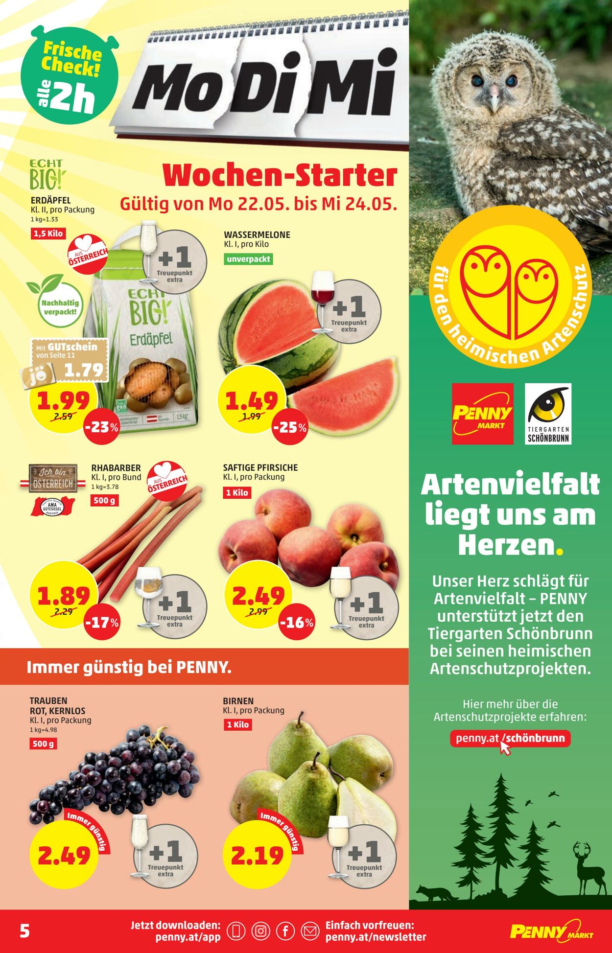 Prospekt Penny Markt 17.05.2023 - 24.05.2023