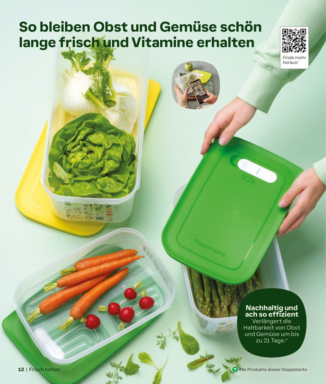 Prospekt Tupperware 18.10.2024 - 10.11.2024